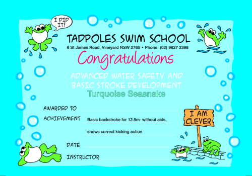 Swim School Classes