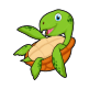 Turtle Class